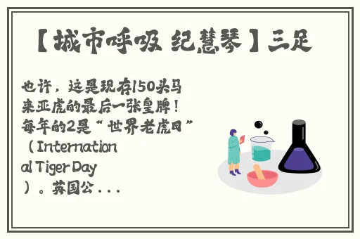 国产精品无码专区在线播放